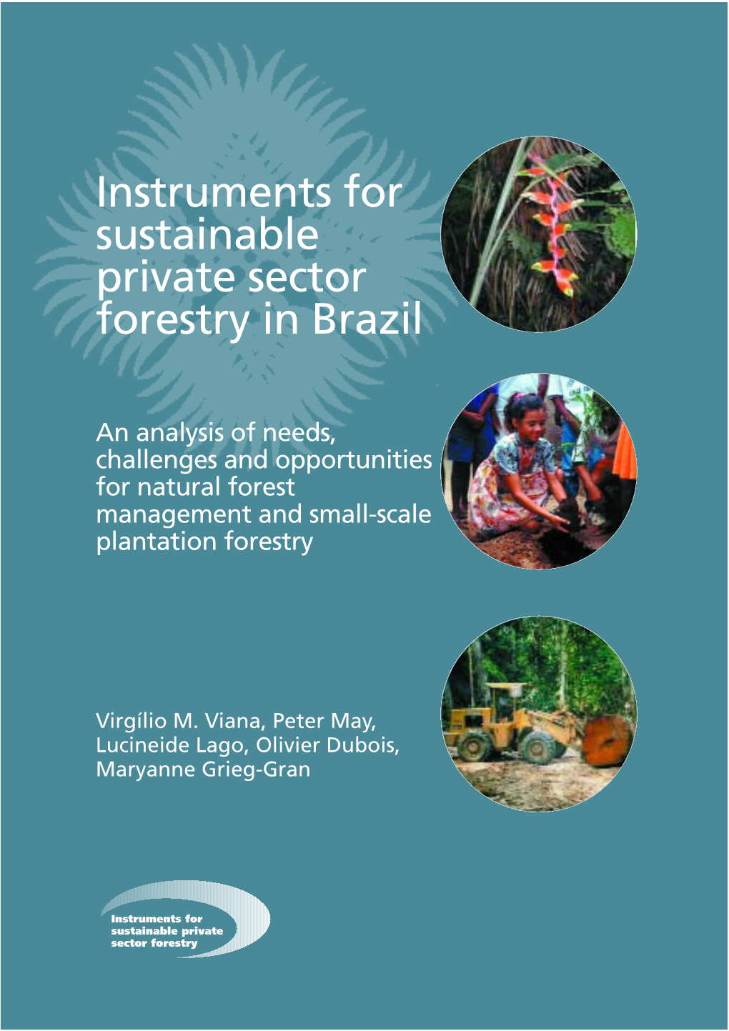 Instruments for Sustainable Private Sector Forestry in Brazil
