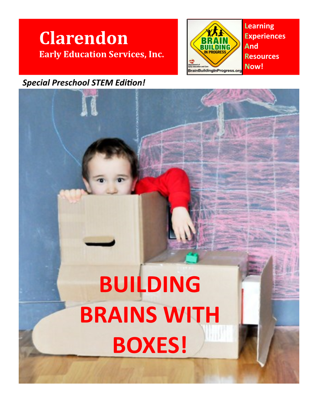 CEES Curriculum Building Brains with Boxes English