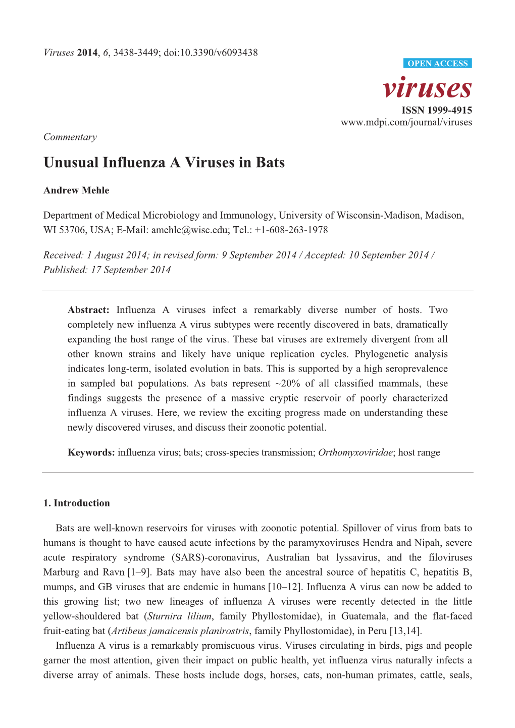 Unusual Influenza a Viruses in Bats