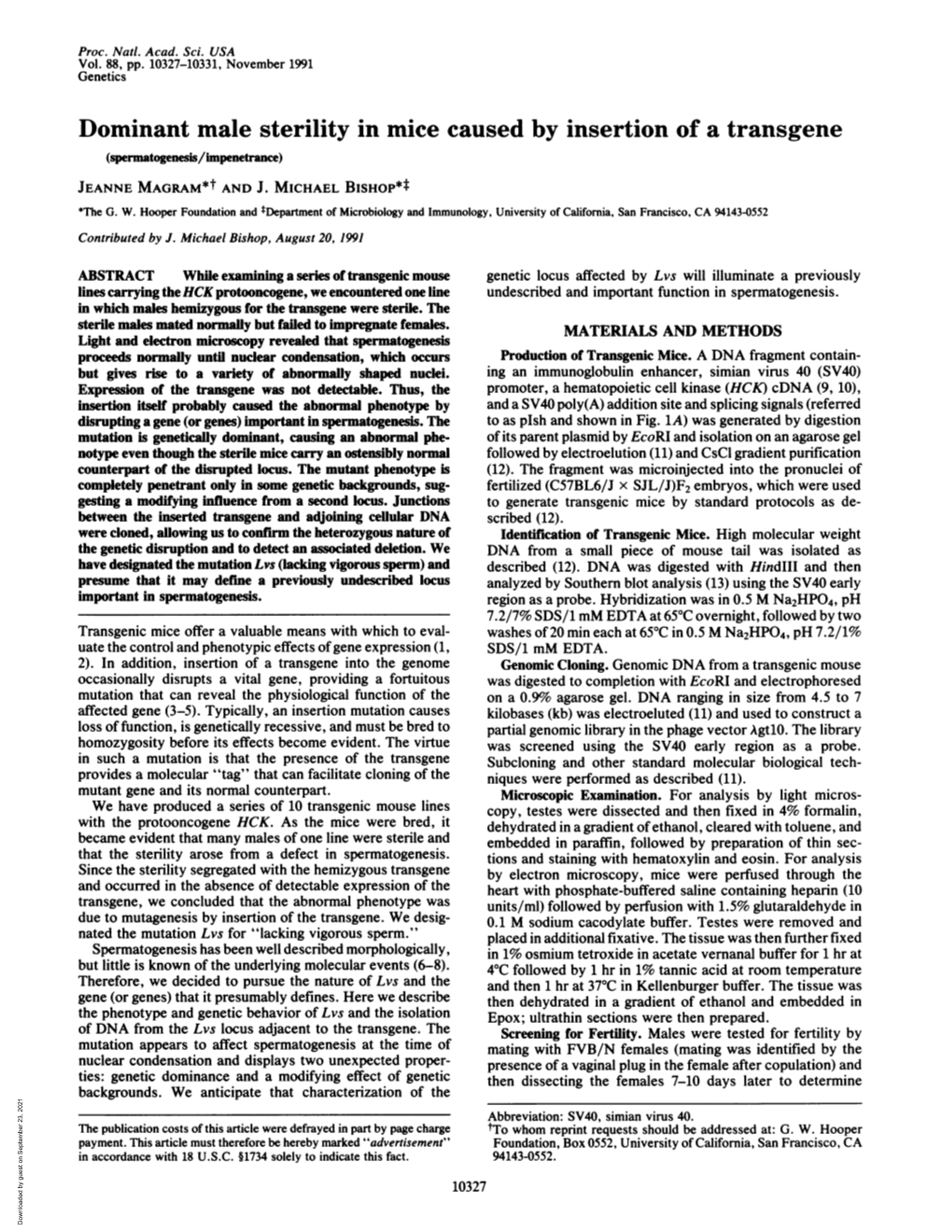 Dominant Male Sterility in Mice Caused by Insertion of a Transgene (Spermatogenesis/Impenetrance) JEANNE MAGRAM*T and J