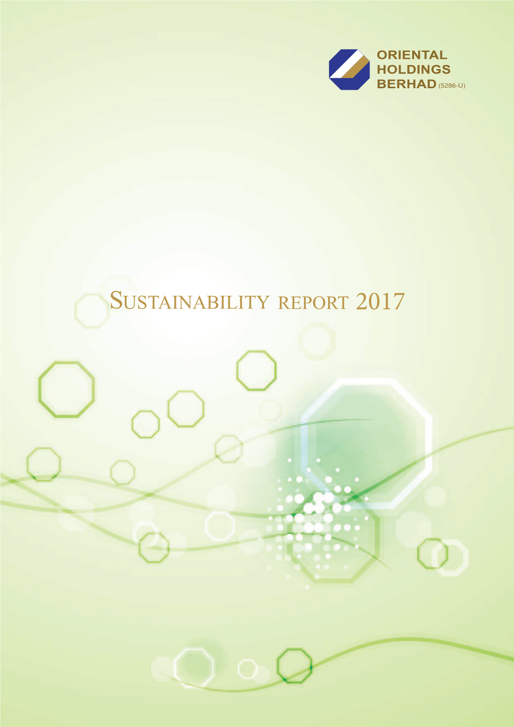 2017 Shares the Company’S Sustainability Journey Covering the Successes and Challenges Faced Over the Past Year