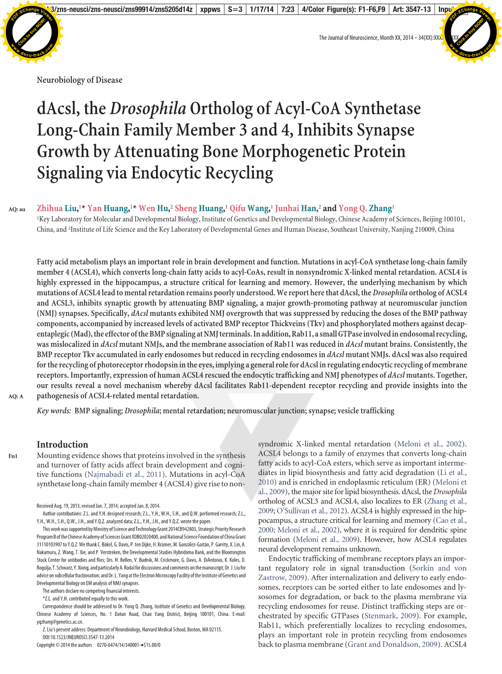 Dacsl, Thedrosophilaortholog of Acyl-Coa Synthetase Long-Chain Family Member 3 and 4, Inhibits Synapse Growth by Attenuating