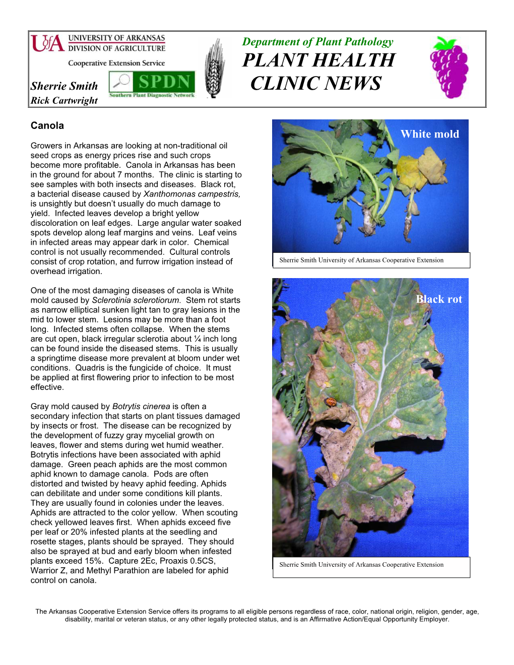 Plant Health Clinic News, Issue 7, 2007