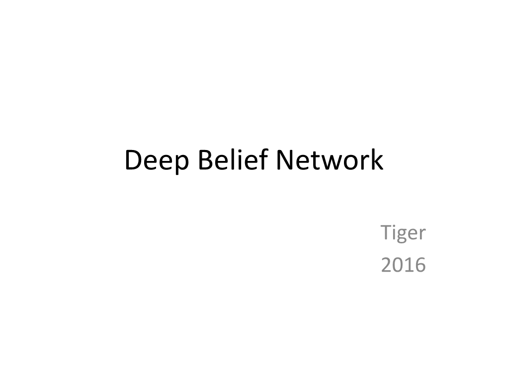 Deep Belief Network