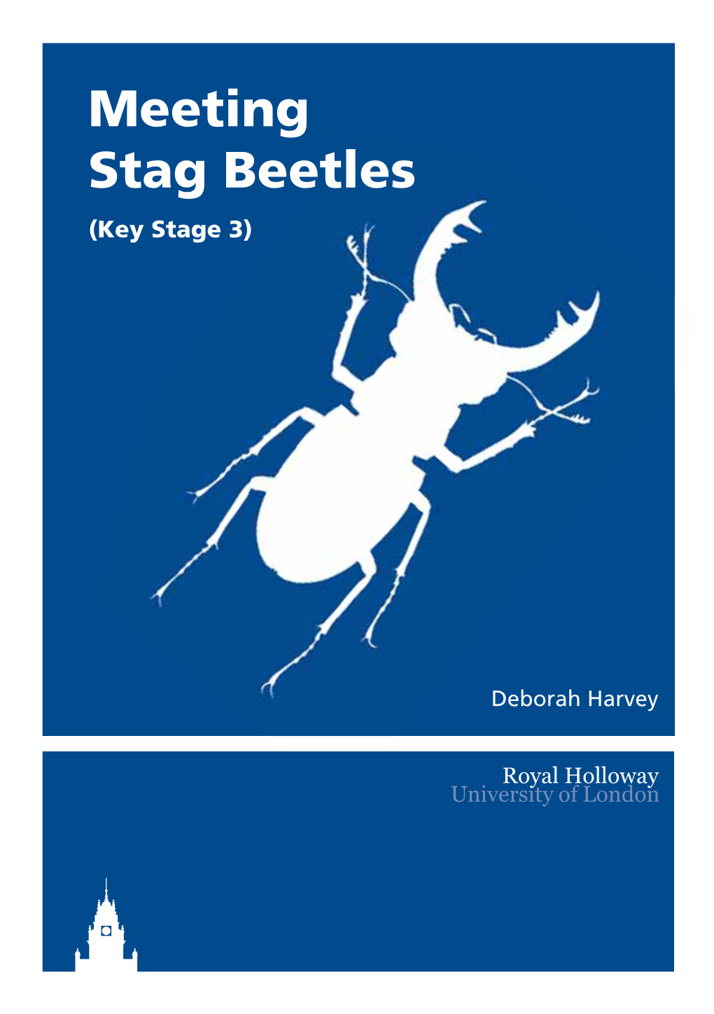 Meeting Stag Beetles (Key Stage 3)