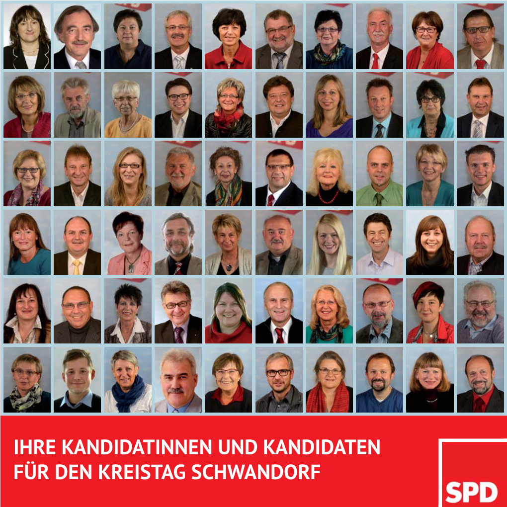 SPD-Kandidatenflyer SAD2014.Indd