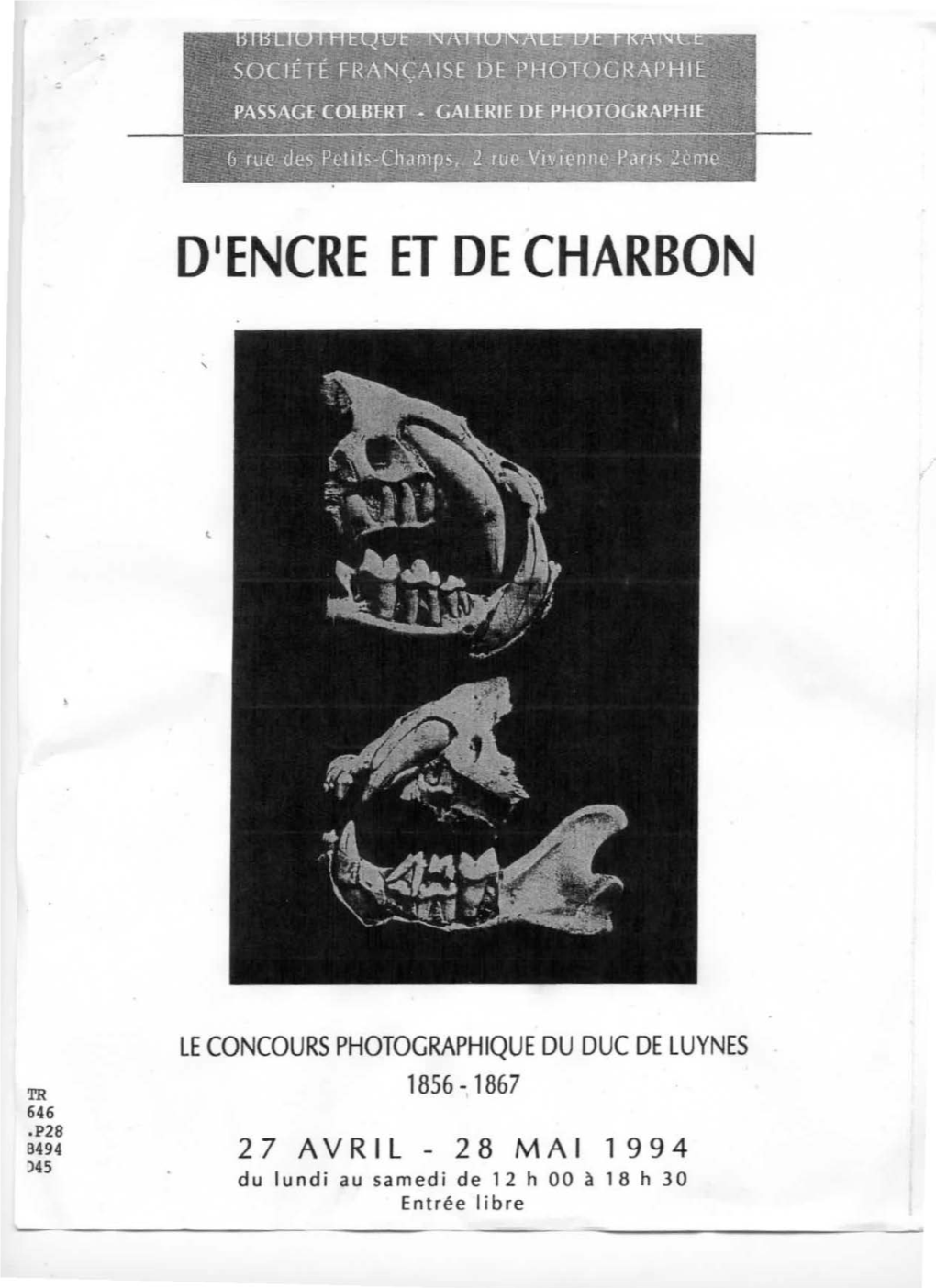 D1encre Et De Charbon