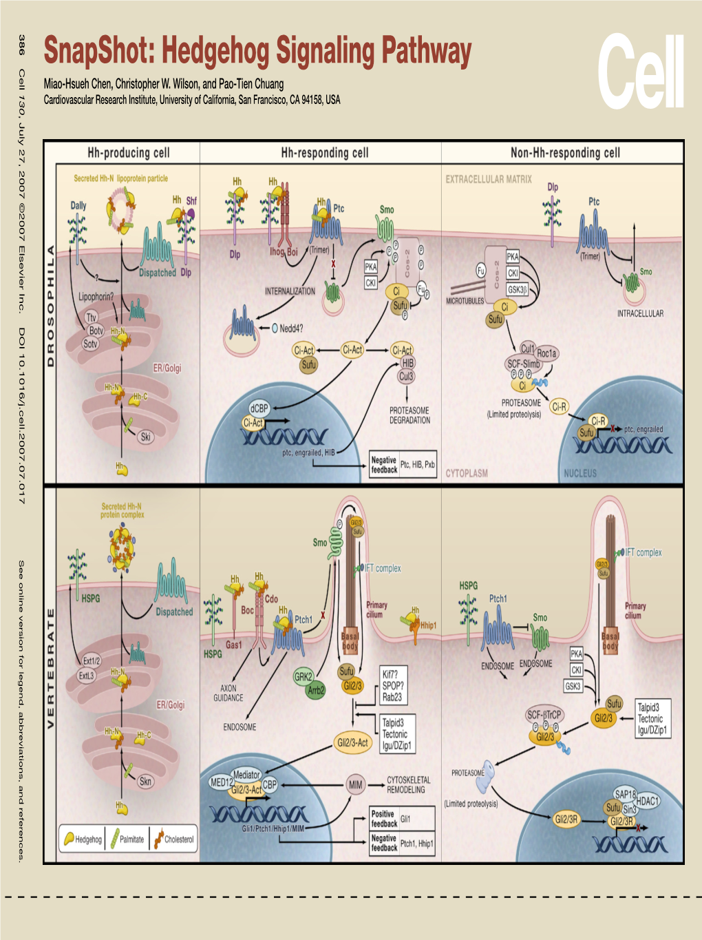 Snapshot: Hedgehog Signaling Pathway Miao-Hsueh Chen, Christopher W