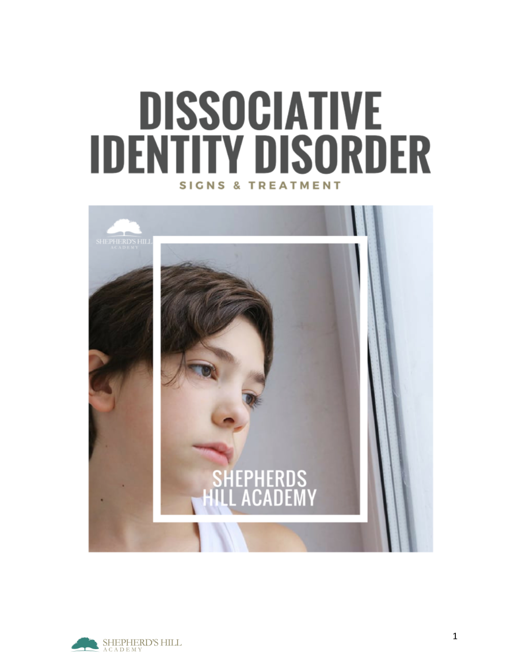 Dissociative-Identity-Disorder.Docx.Pdf