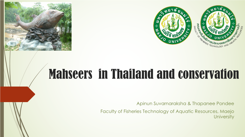 2. Mahseer in Thailand and Conservation Phutan 2018