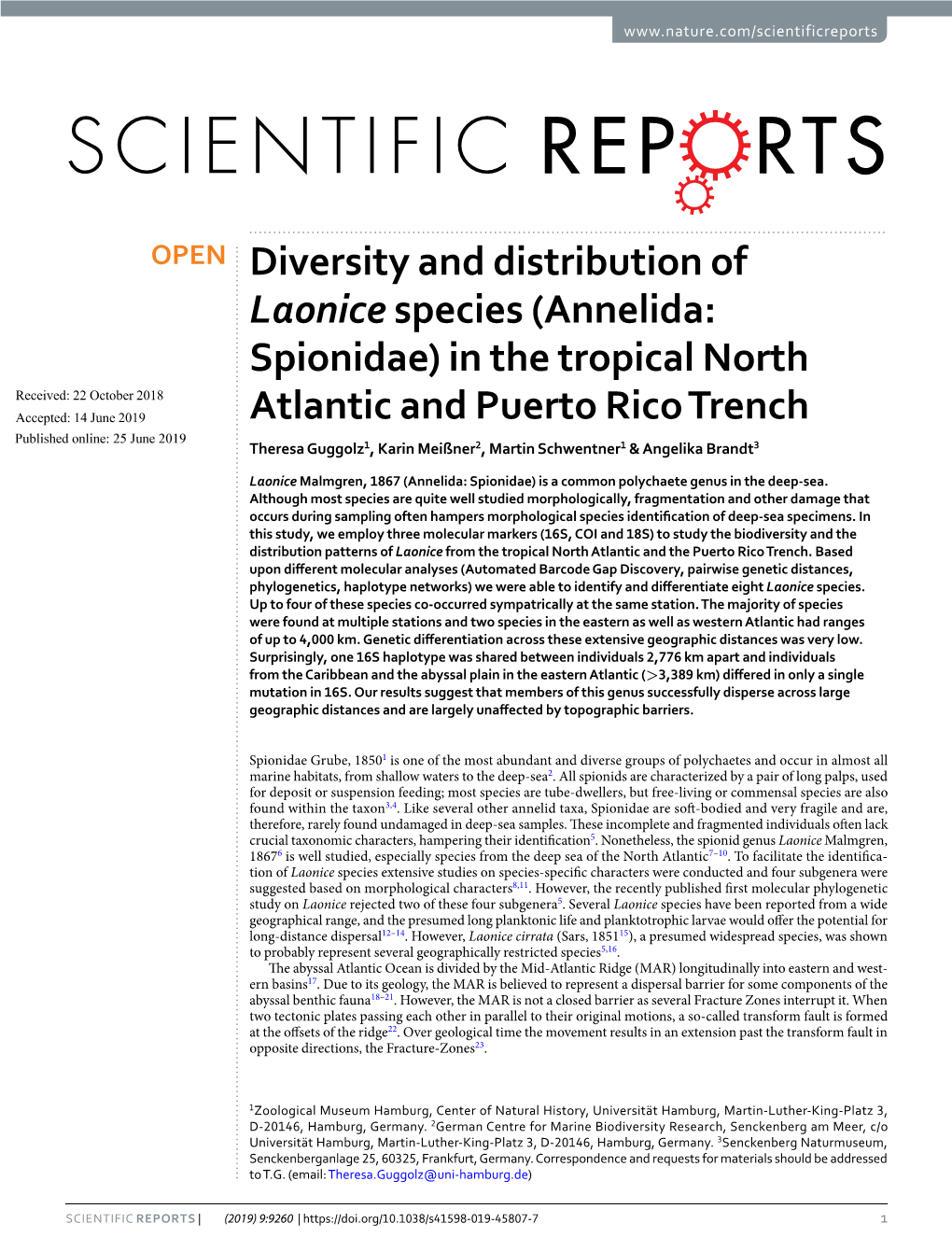 Diversity and Distribution of Laonice Species (Annelida: Spionidae) In