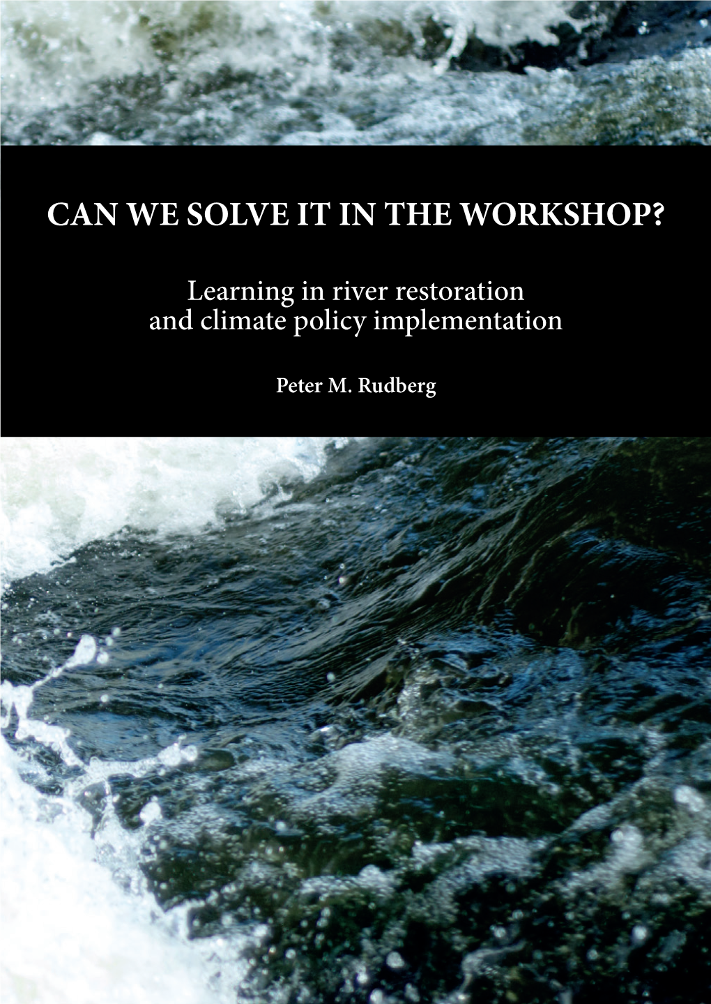 Can We Solve It in the Workshop? : Learning in River Restoration and Climate Policy Implementation