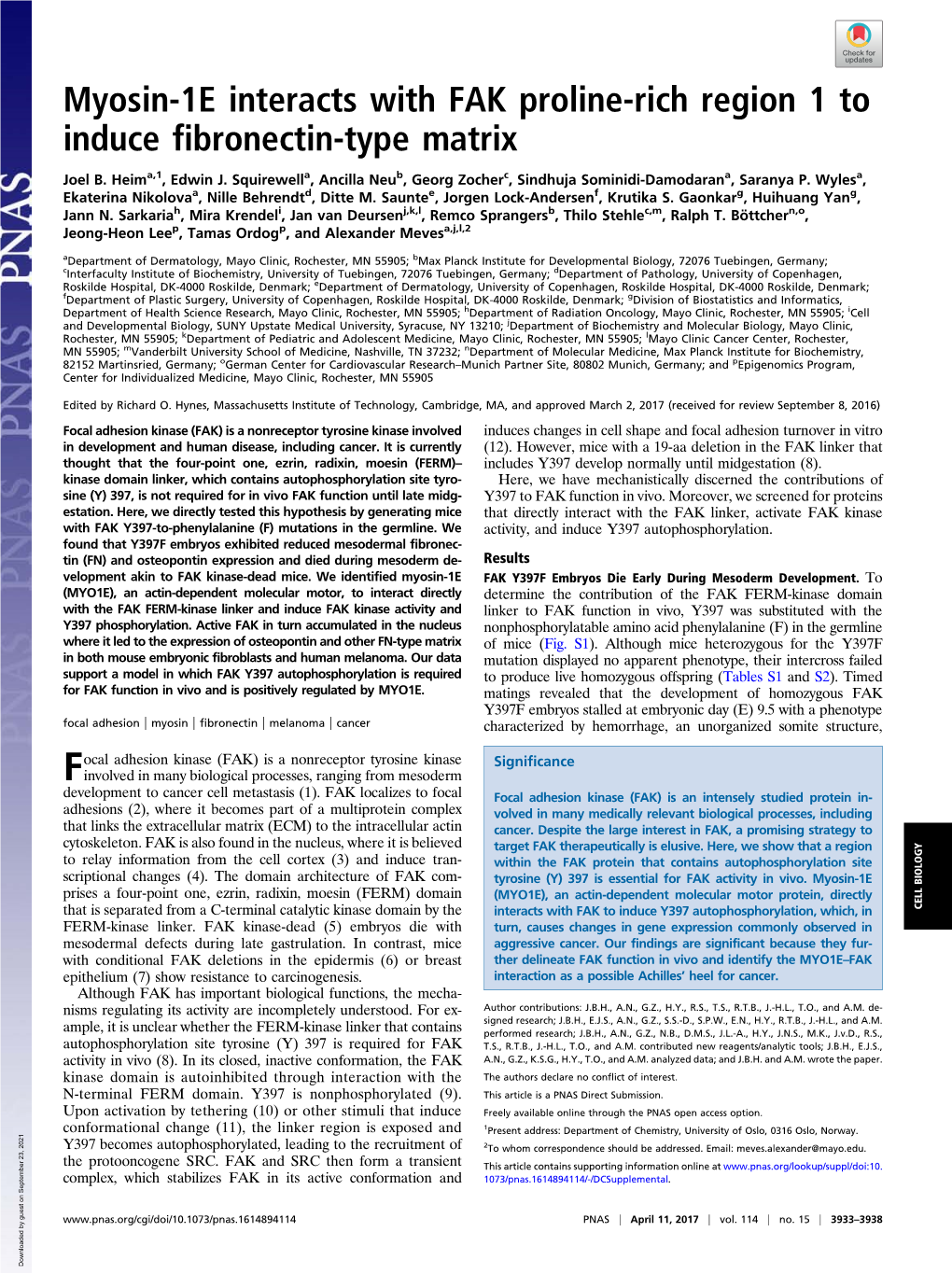 Myosin-1E Interacts with FAK Proline-Rich Region 1 to Induce Fibronectin-Type Matrix