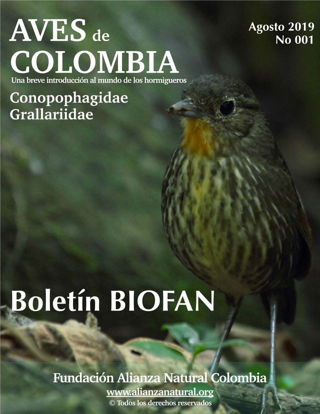 FAN-Boletin 1.Aves