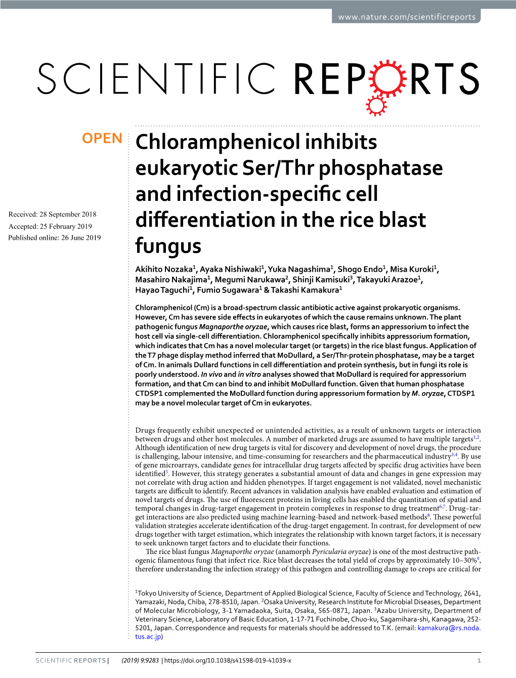 Chloramphenicol Inhibits Eukaryotic Ser/Thr Phosphatase and Infection