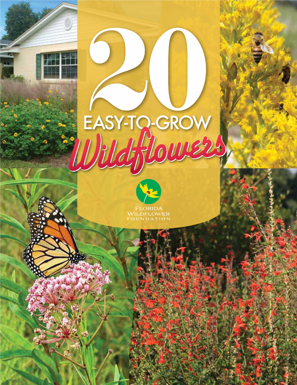 20 Easy-To-Grow Wildflowers (24-Page Publication)