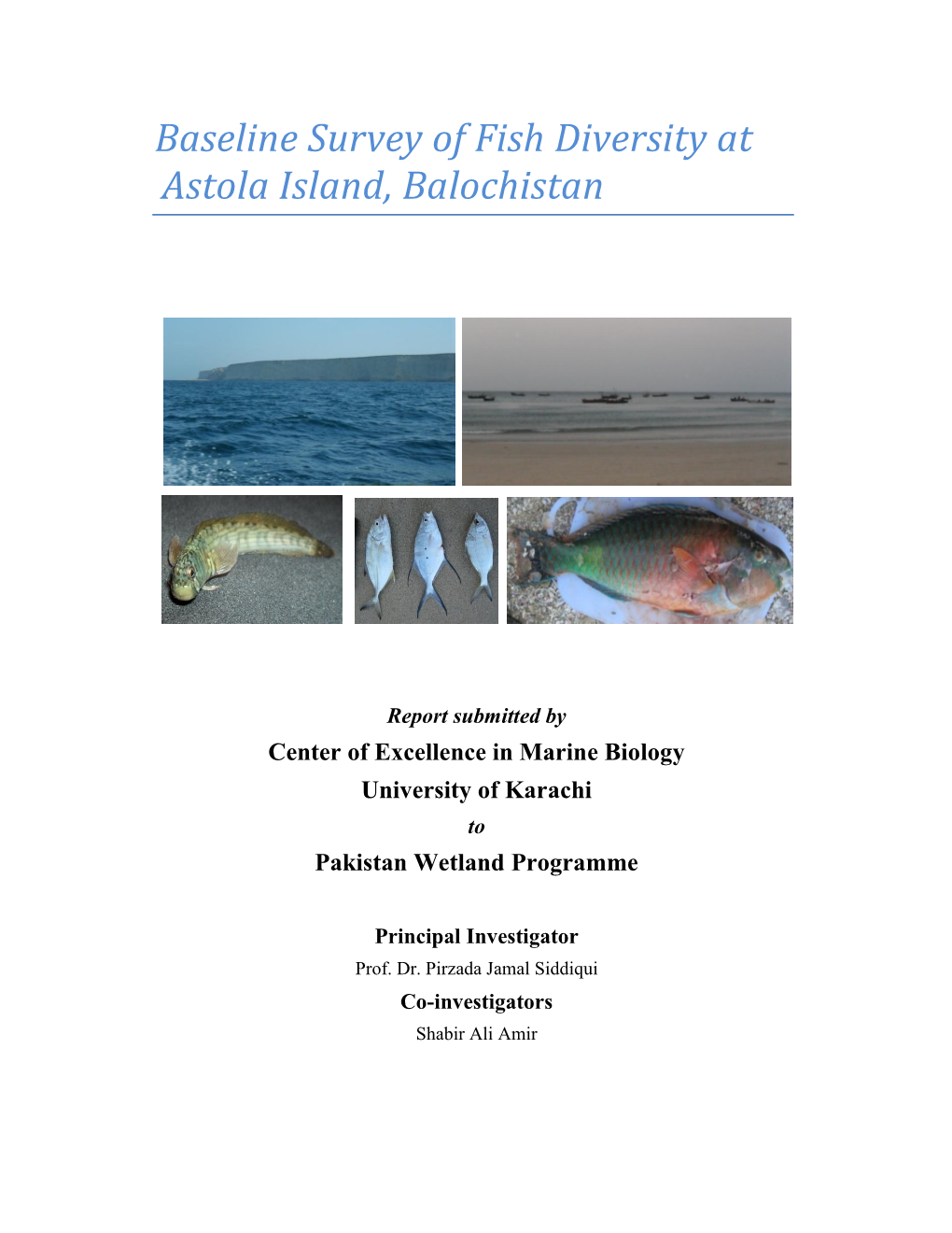 Baseline Survey of Fish Diversity at Astola Island, Balochistan