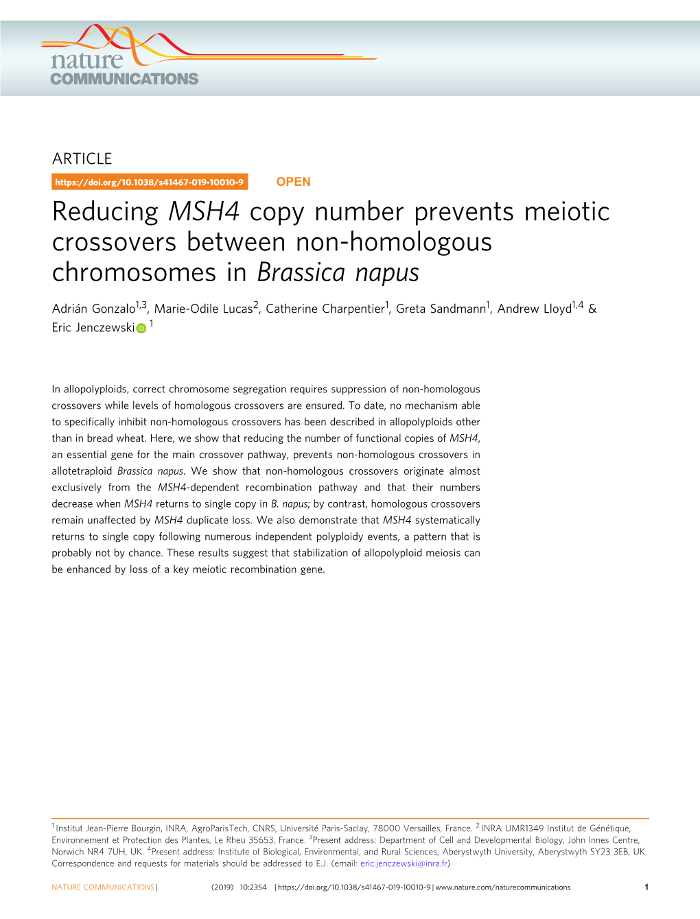 Reducing MSH4 Copy Number Prevents Meiotic Crossovers Between Non-Homologous Chromosomes in Brassica Napus