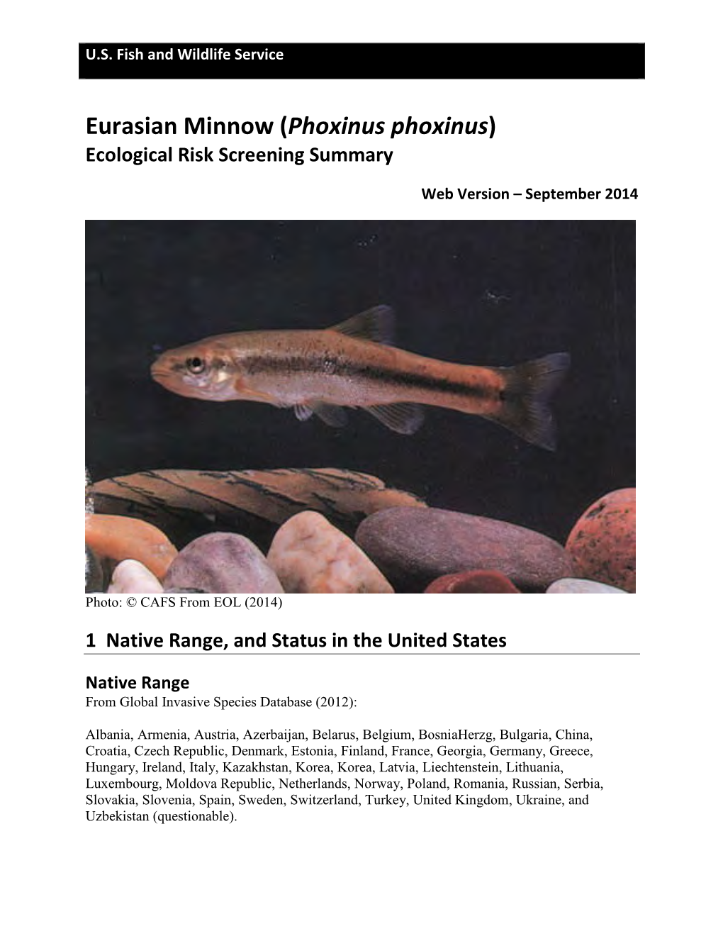 Eurasian Minnow (Phoxinus Phoxinus) Ecological Risk Screening Summary