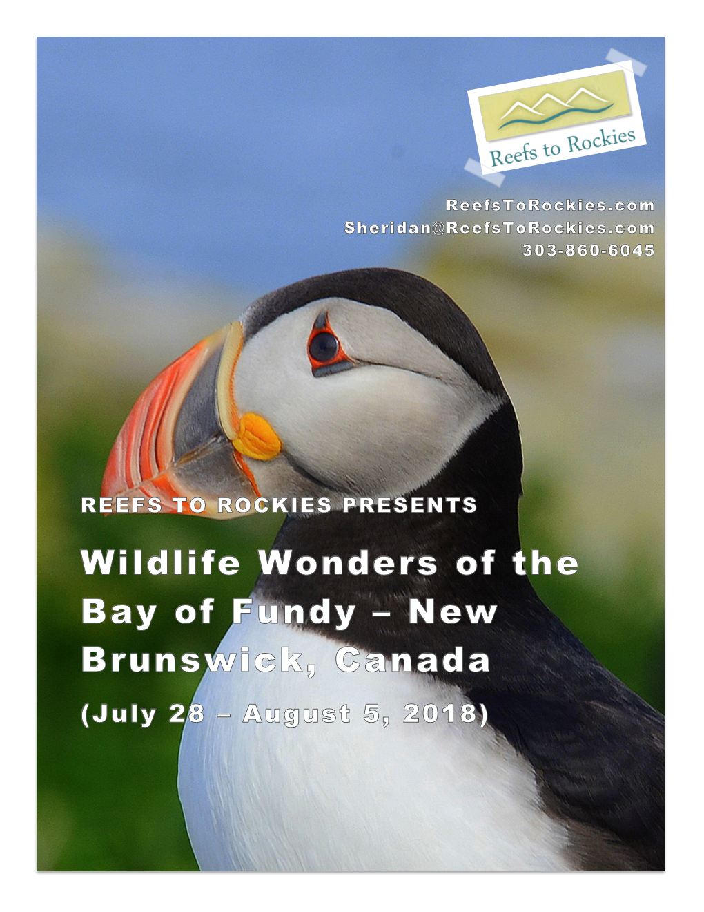 Wildlife-Wonders-Of-Bay-Of-Fundy