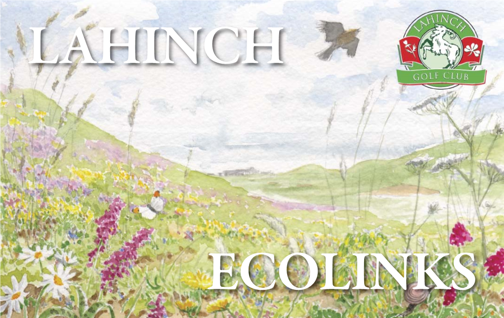 Lahinch Ecolinks Was Forthcoming from a Number of People and a Variety of Sources Including the Groundstaﬀ and Council of Lahinch Golf Club
