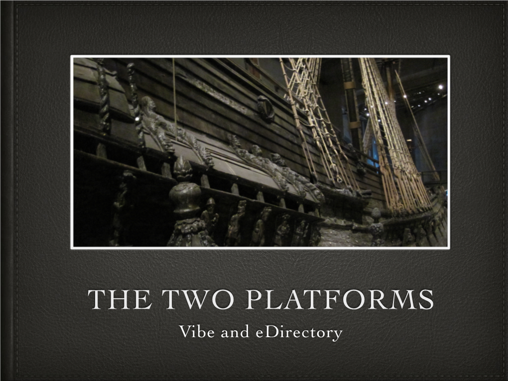 THE TWO PLATFORMS Vibe and Edirectory