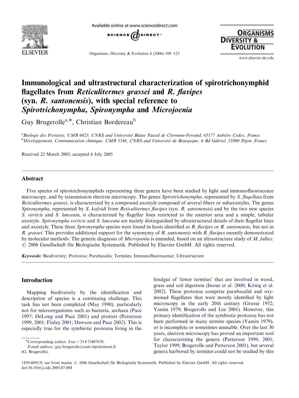 Immunological and Ultrastructural Characterization of Spirotrichonymphid Flagellates from Reticulitermes Grassei and R. Flavipes