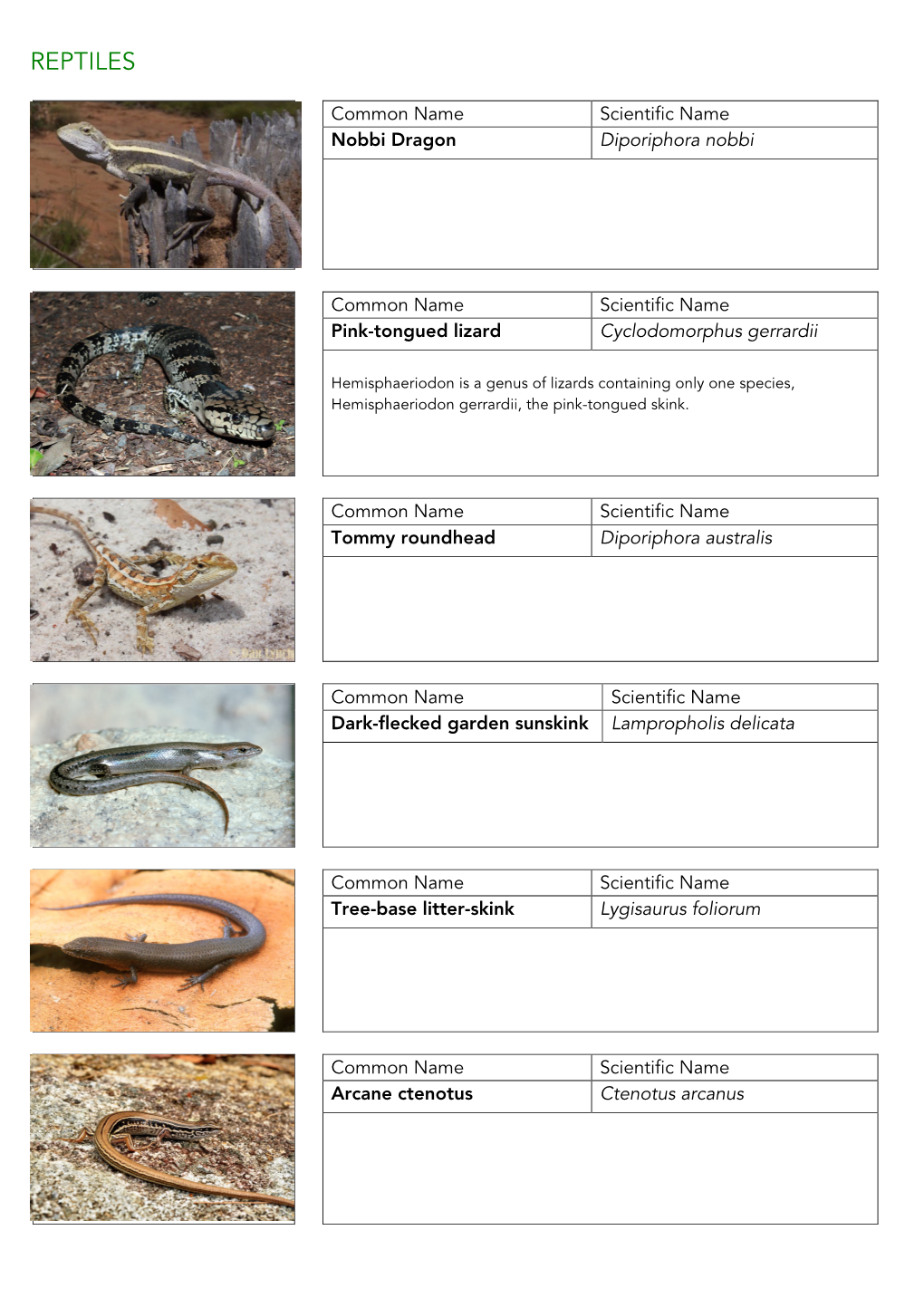 Reptiles Chart