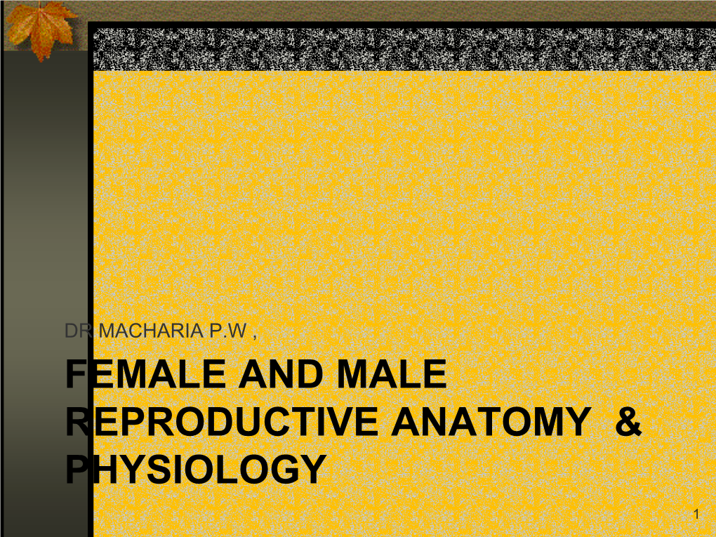 Female and Male Reproductive Anatomy & Physiology