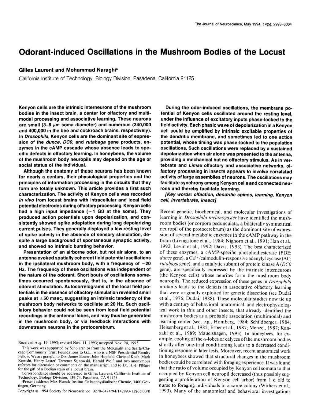 Odorant-Induced Oscillations in the Mushroom Bodies of the Locust