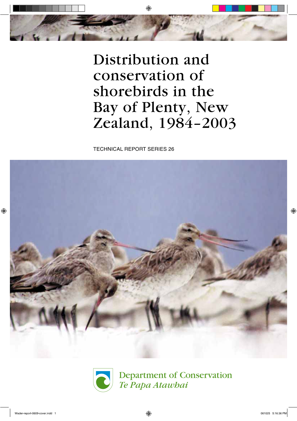 Distribution and Conservation of Shorebirds in the Bay of Plenty, New Zealand, 1984-2003