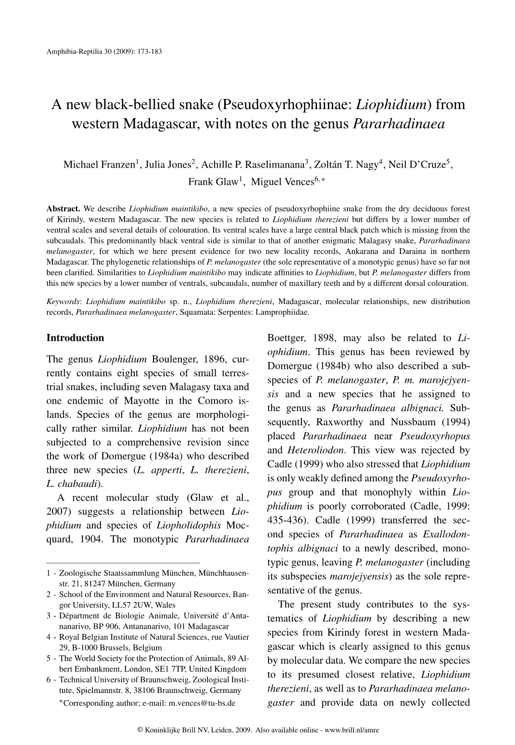 A New Black-Bellied Snake (Pseudoxyrhophiinae: Liophidium) from Western Madagascar, with Notes on the Genus Pararhadinaea