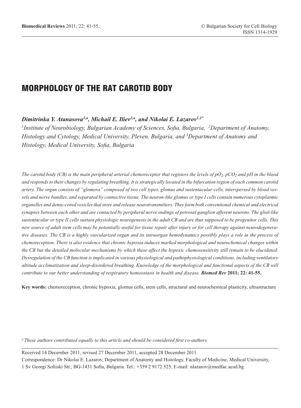 Morphology of the Rat Carotid Body