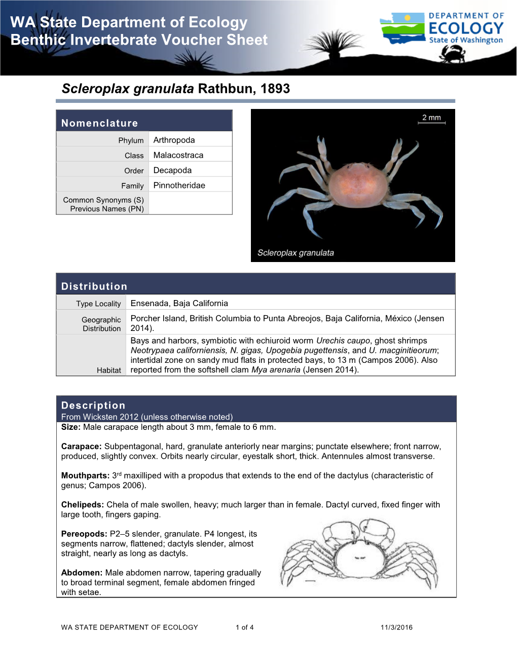 WA State Department of Ecology Benthic Invertebrate Voucher Sheet