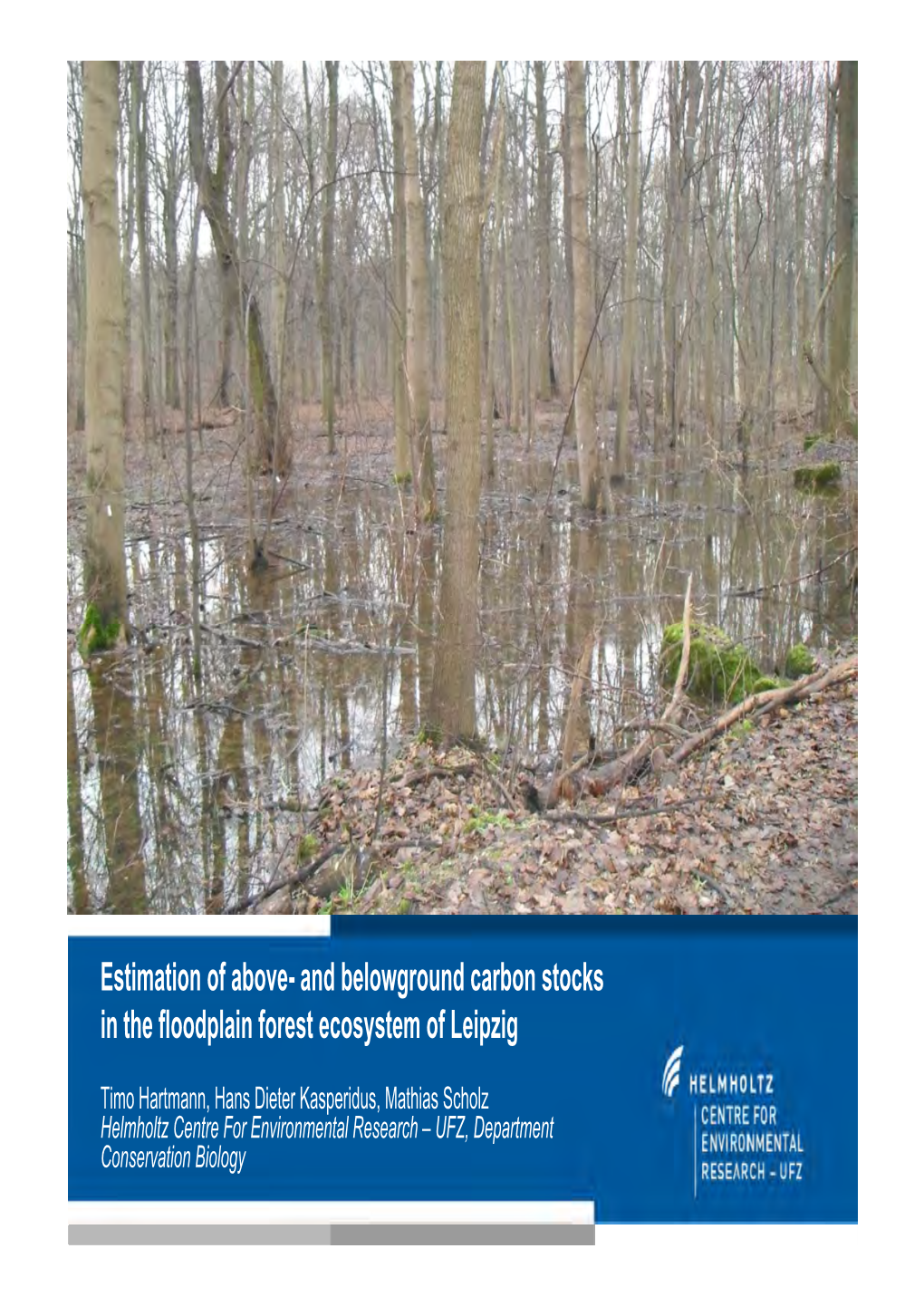 And Belowground Carbon Stocks in the Floodplain Forest Ecosystem of Leipzig