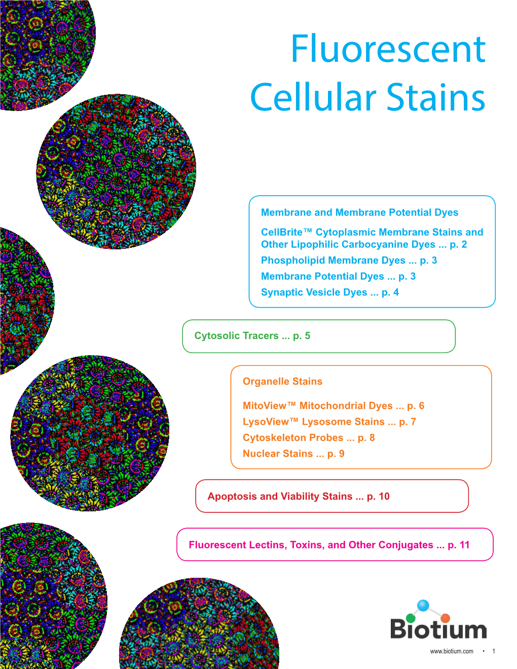 Fluorescent Cellular Stains