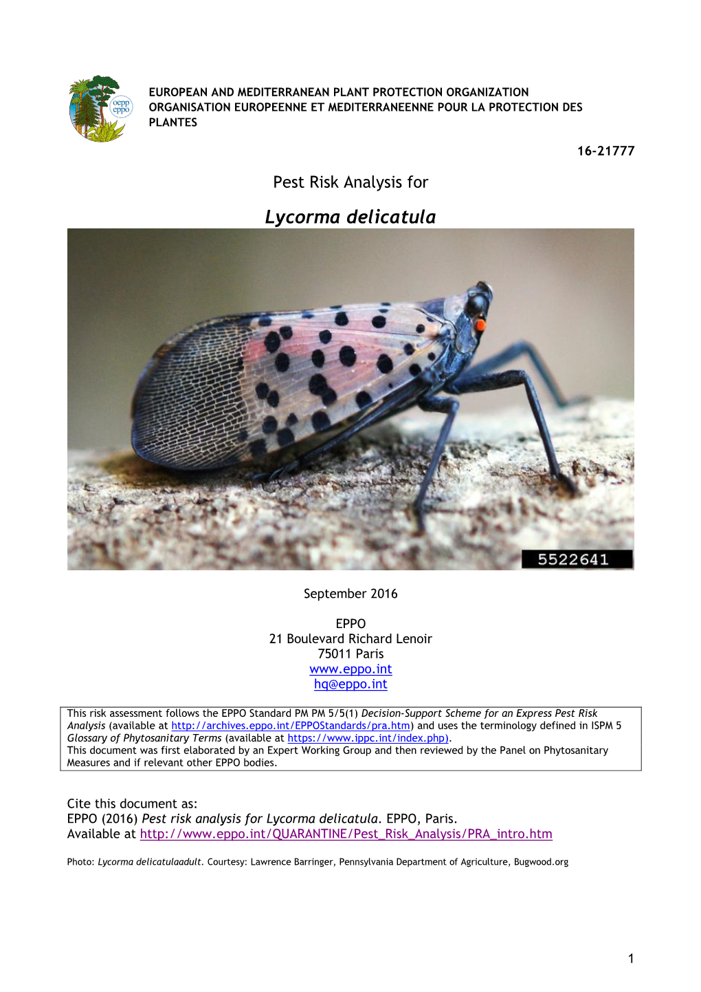 Pest Risk Analysis for Lycorma Delicatula