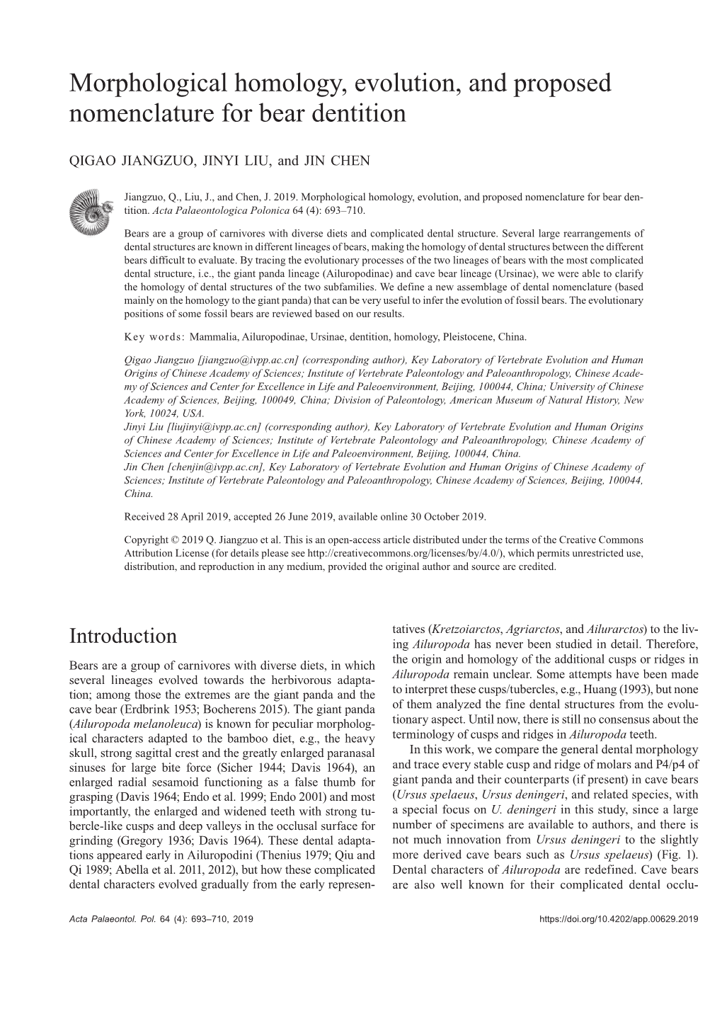 Morphological Homology, Evolution, and Proposed Nomenclature for Bear Dentition