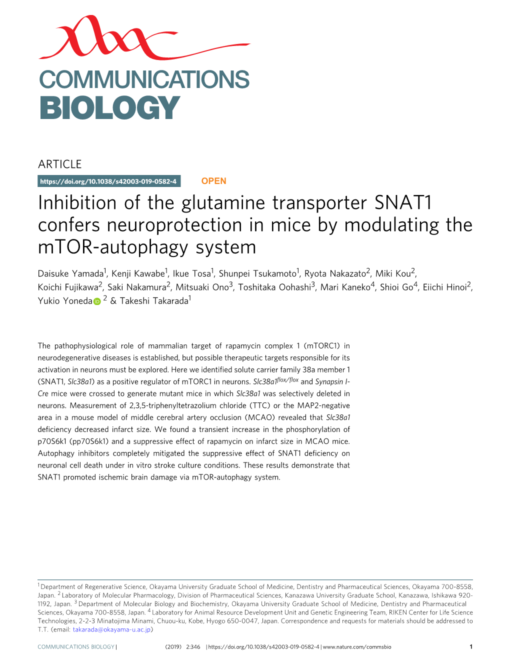 Inhibition of the Glutamine Transporter SNAT1 Confers Neuroprotection in Mice by Modulating the Mtor-Autophagy System