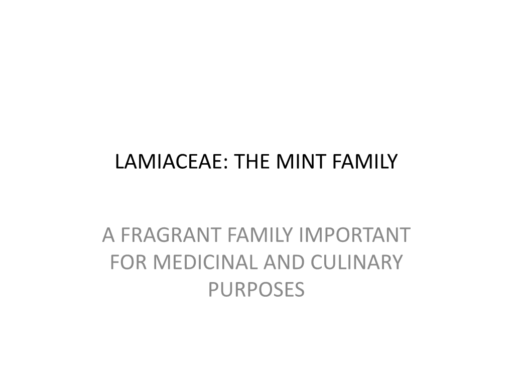 Lamiaceae: the Mint Family