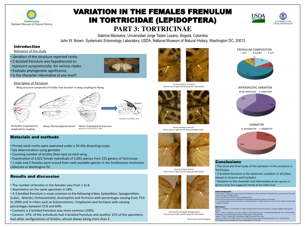 VARIATION in the FEMALES FRENULUM in TORTRICIDAE (LEPIDOPTERA) PART 3: TORTRICINAE Sabrina Monsalve, Universidad Jorge Tadeo Lozano, Bogotá, Colombia John W