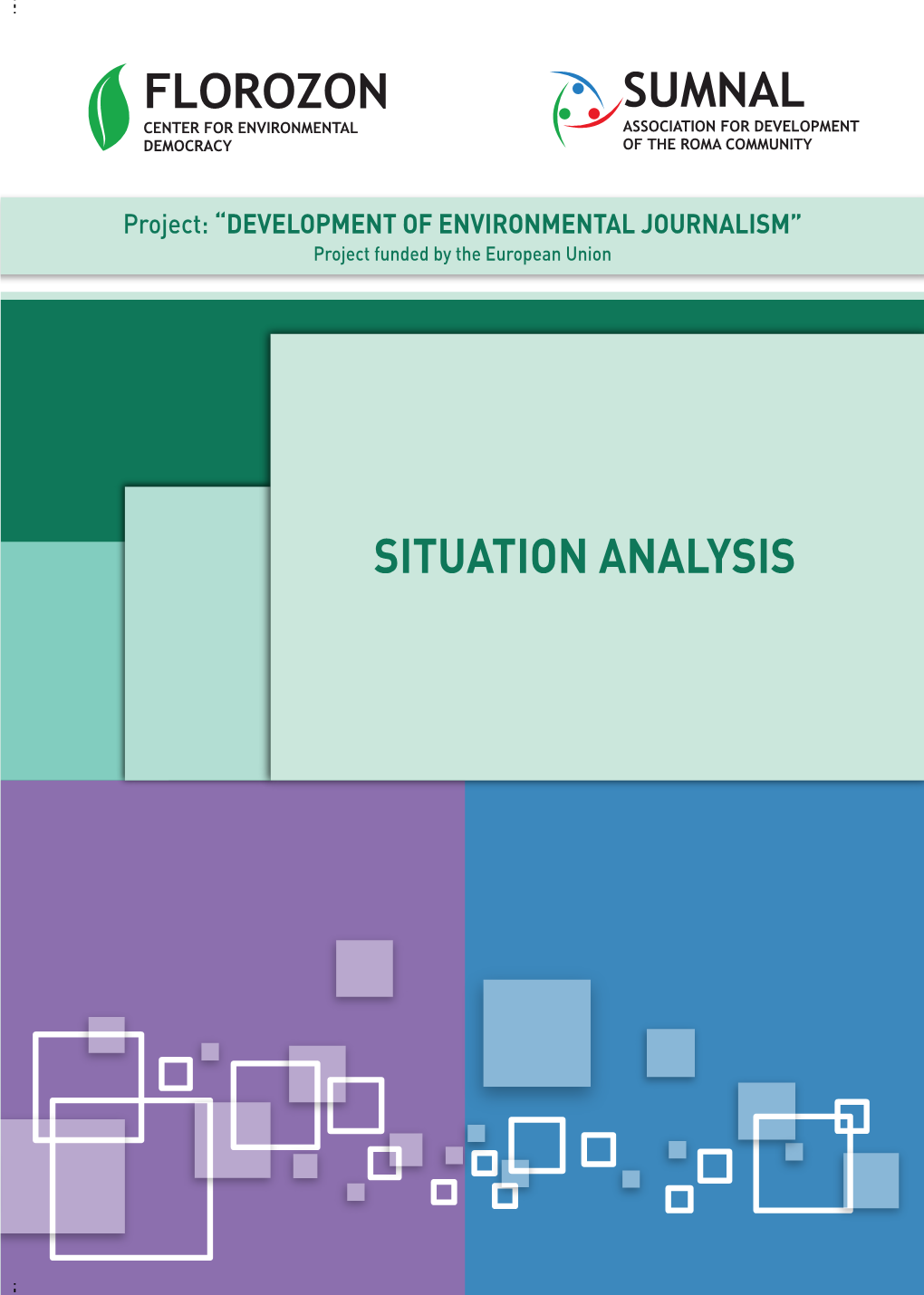 Situation Analysis Sumnal Florozon