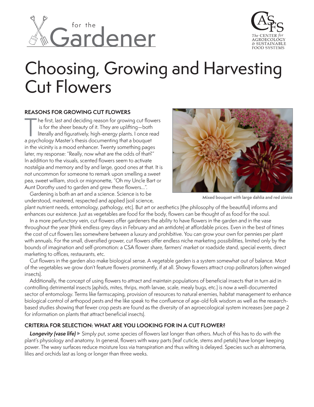 Choosing, Growing, and Harvesting Cut Flowers