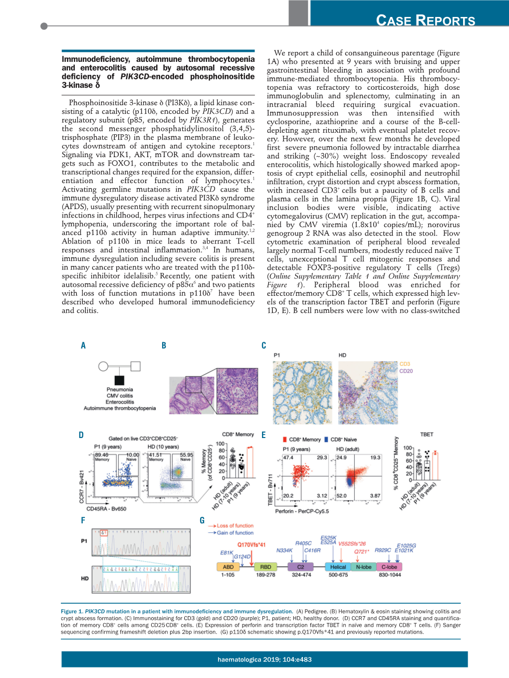 Immunodeficiency, Autoimmune Thrombocytopenia and Enterocolitis