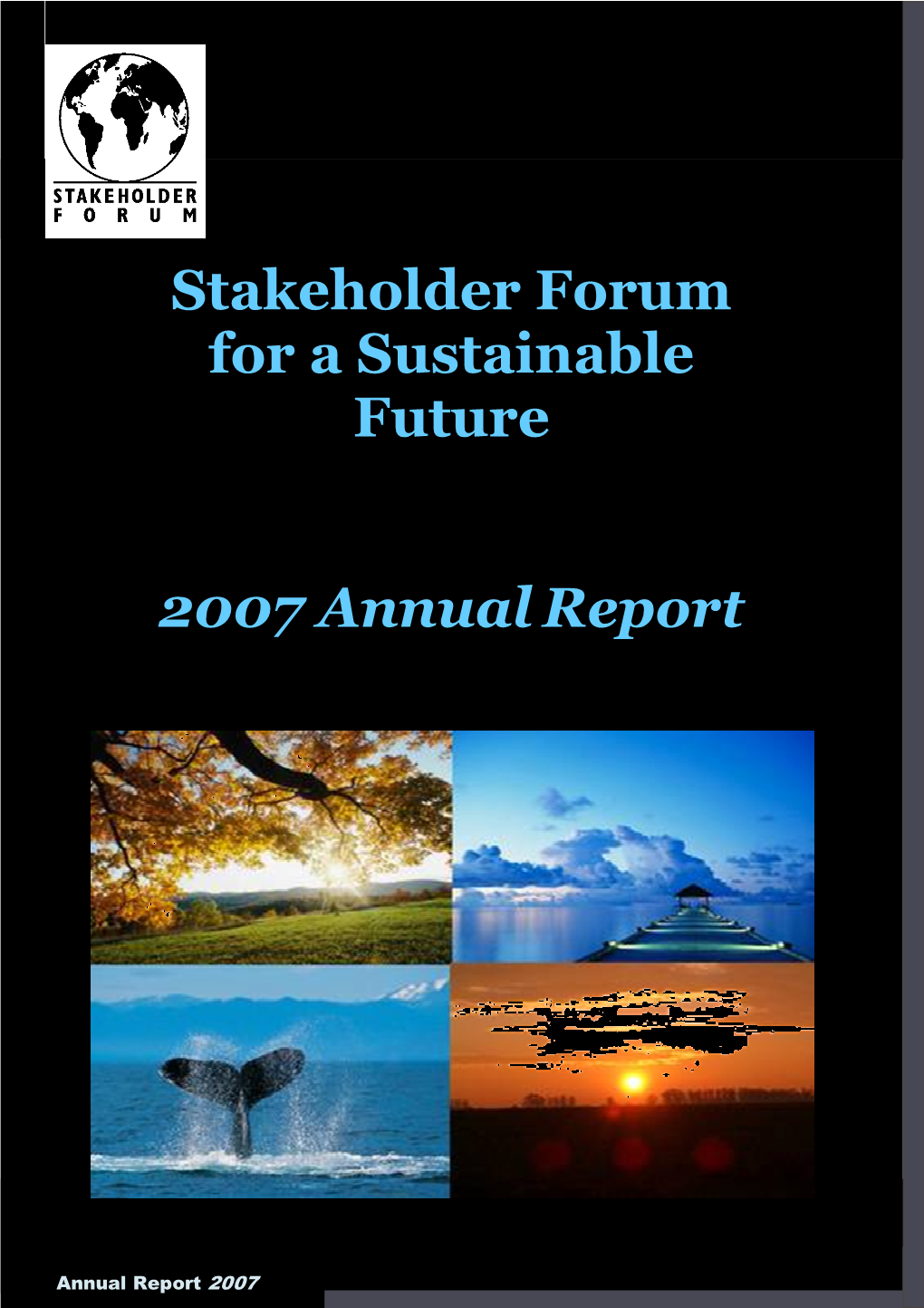 Stakeholder Forum Annual Report 2007 FINAL