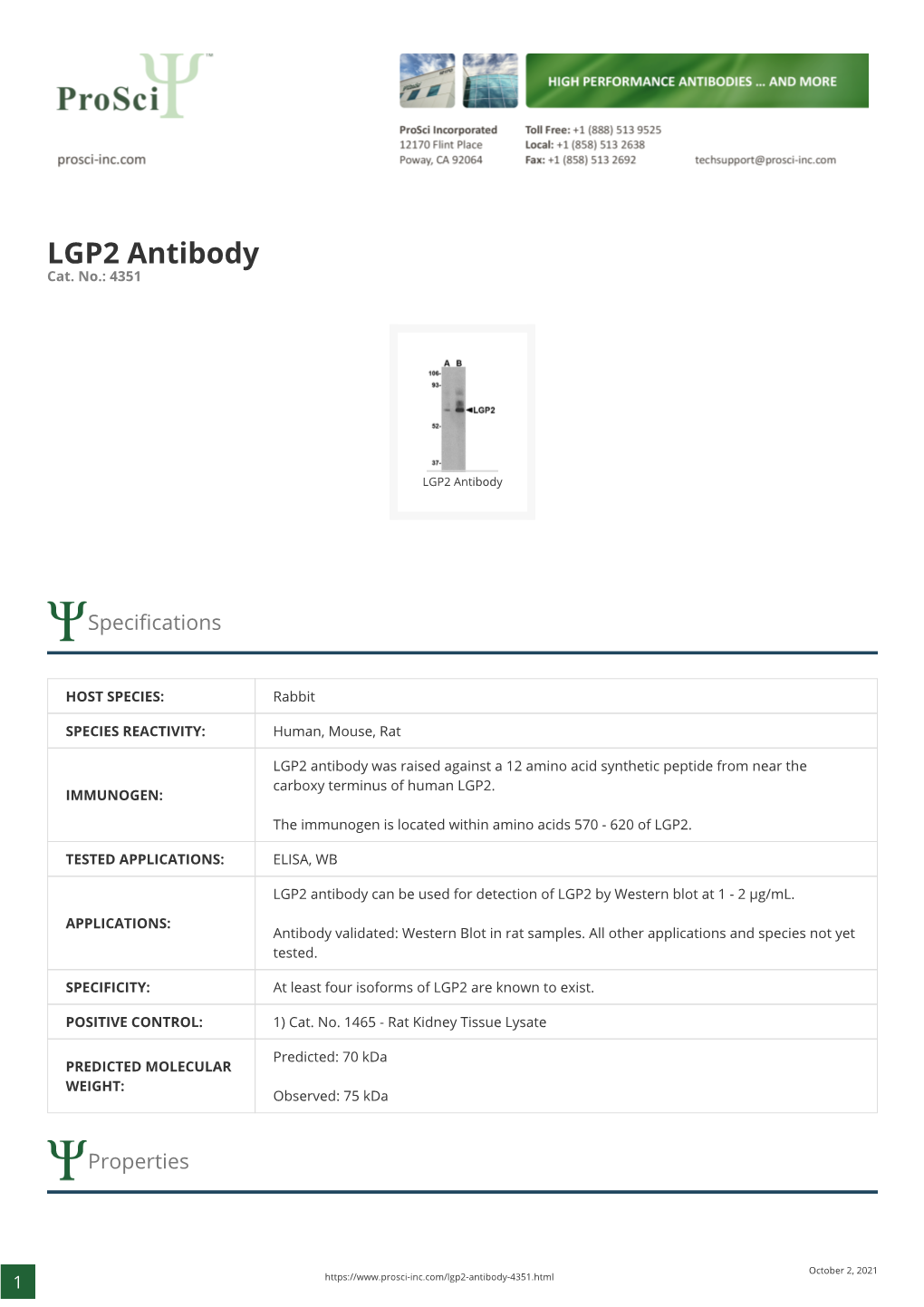 LGP2 Antibody Cat