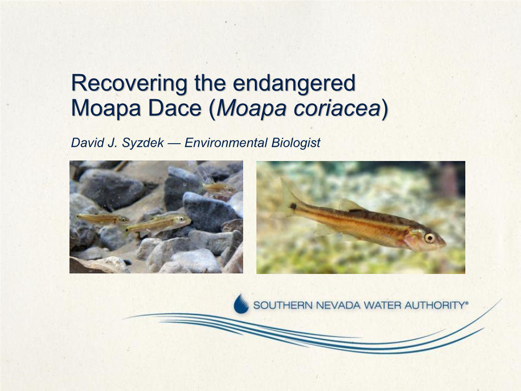 Recovering the Endangered Moapa Dace (Moapa Coriacea)