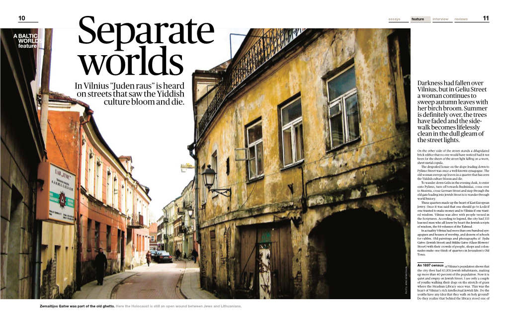 In Vilnius ”Juden Raus” Is Heard Vilnius, but in Geliu Street on Streets That Saw the Yiddish a Woman Continues to Culture Bloom and Die