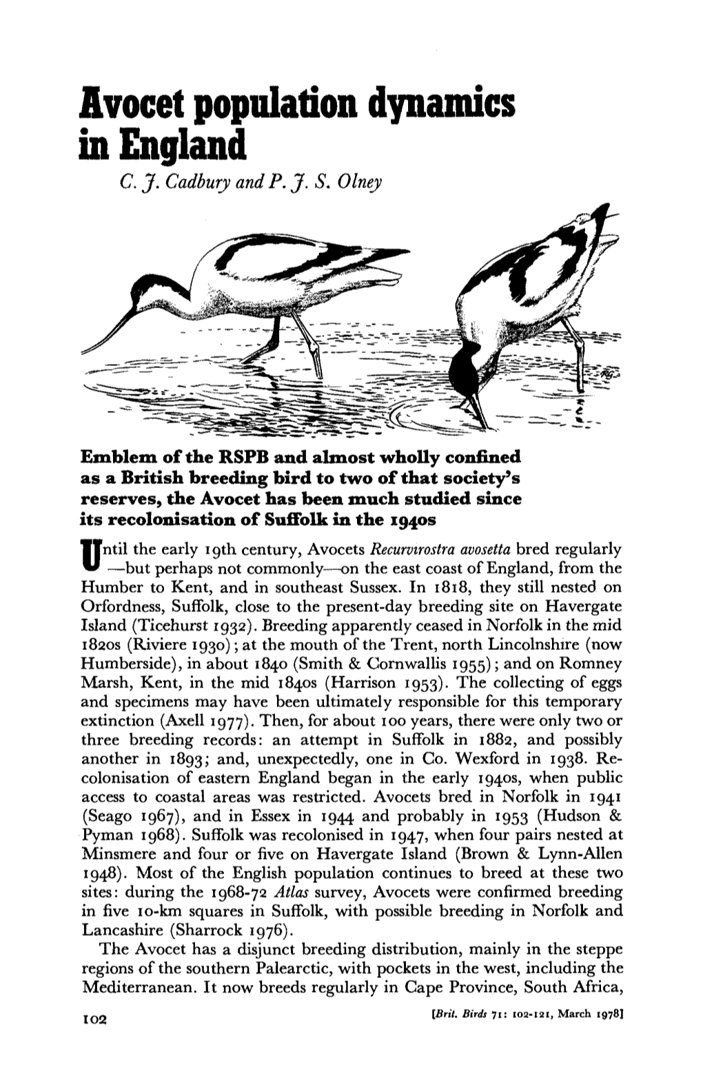 Avocet Population Dynamics in England C