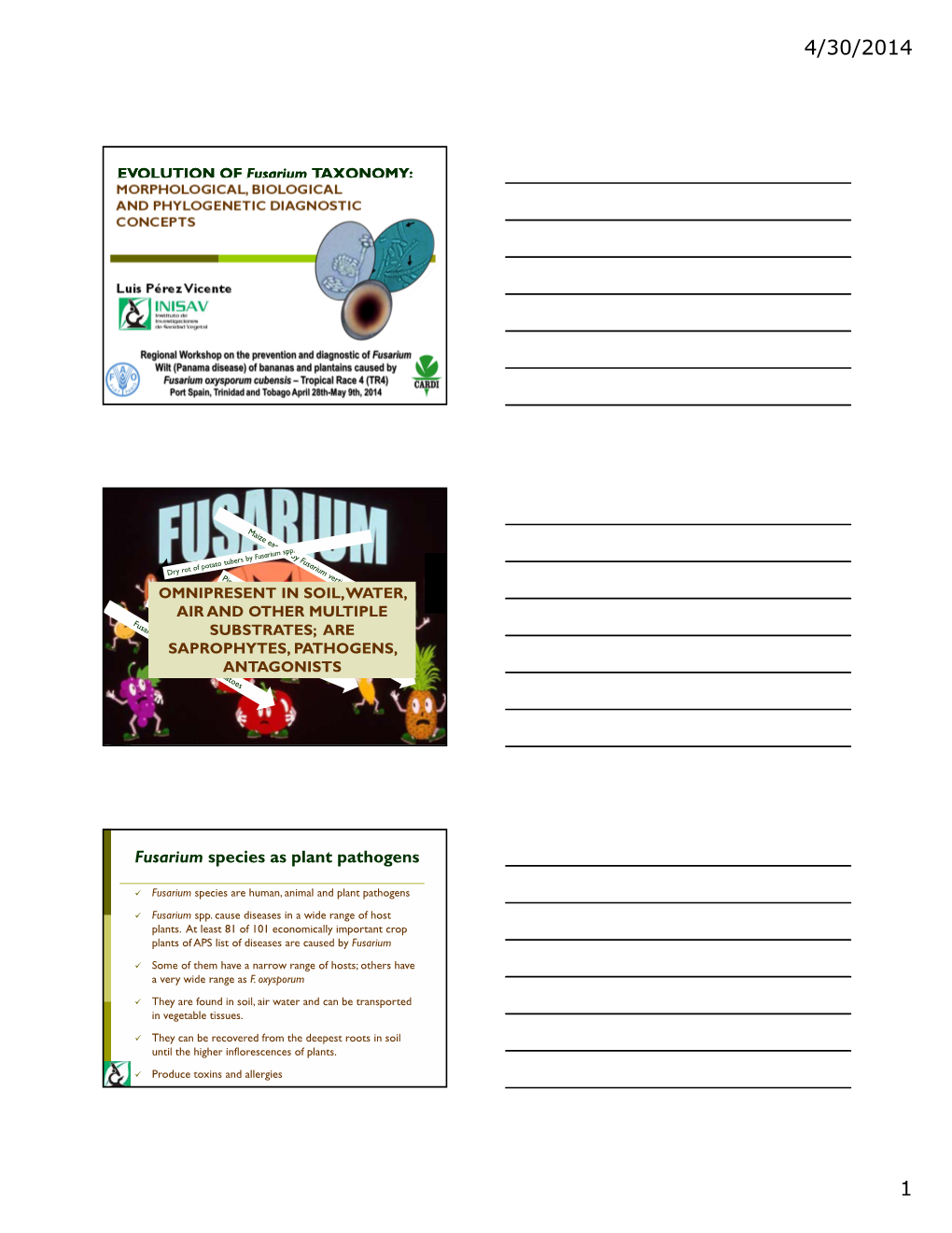 Fusarium Species As Plant Pathogens